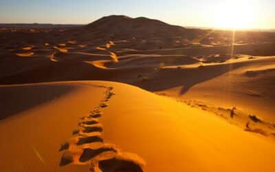 desert-400x250